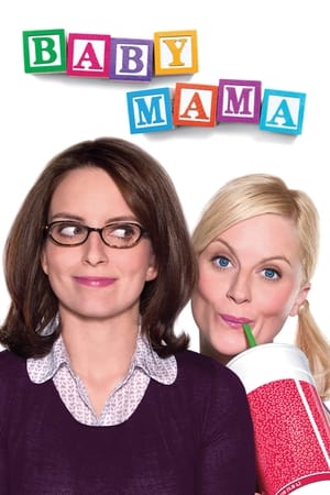Baby Mama (2008) Hindi Dual Audio [900MB] HD Poster Download - Filmyzilla