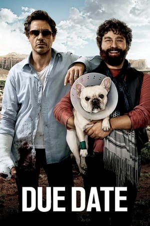 Due Date (2010) Hindi Dual Audio [850MB] HD Poster Download - Filmyzilla