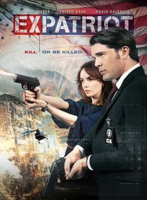 ExPatriot 2017 Hindi Dual Audio [870MB] HD Poster Download - Filmyzilla