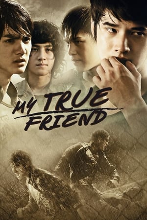 Friends Never Die (2012) Hindi Dubbed [1.1GB] HD Poster Download - Filmyzilla