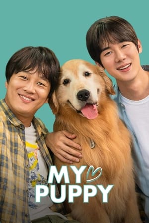 My love puppy (2022) Hindi Dual Audio – HD Poster Download - Filmyzilla